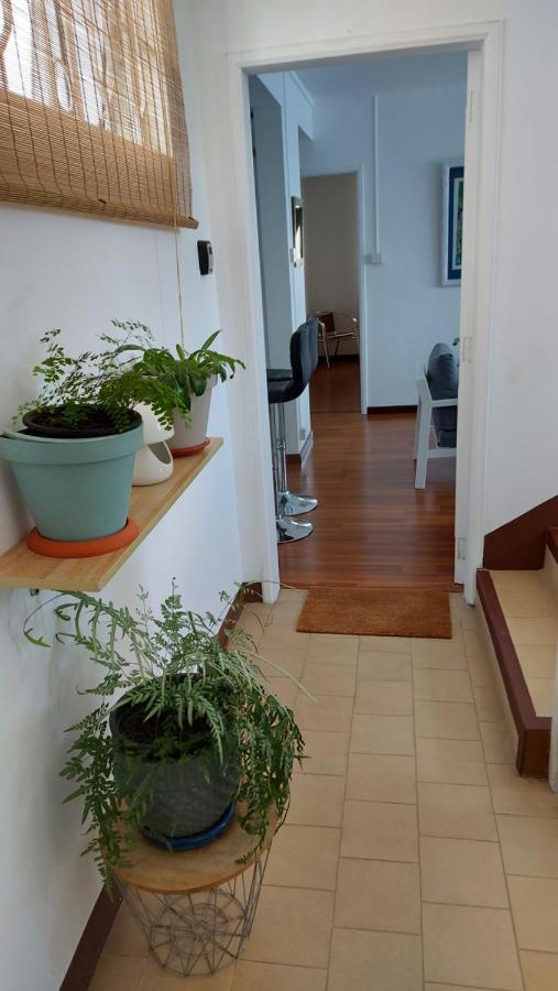 Tropical Palms Apartment Mauritius Pointe aux Canonniers Bagian luar foto